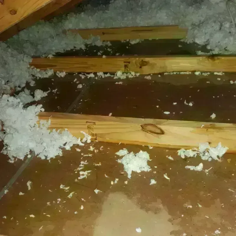 Attic Water Damage in Plumas County, CA